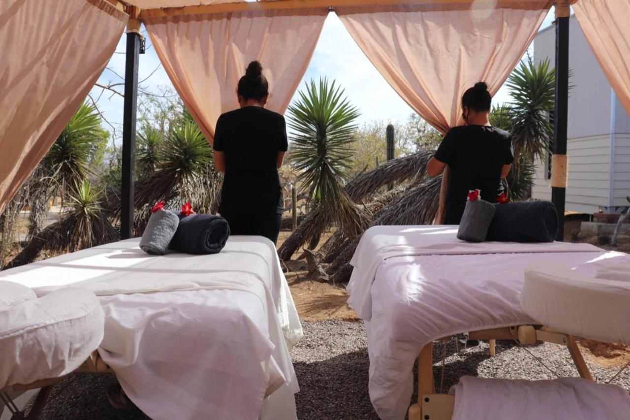 Experience Aparthotel El Cardonal Luaran gambar